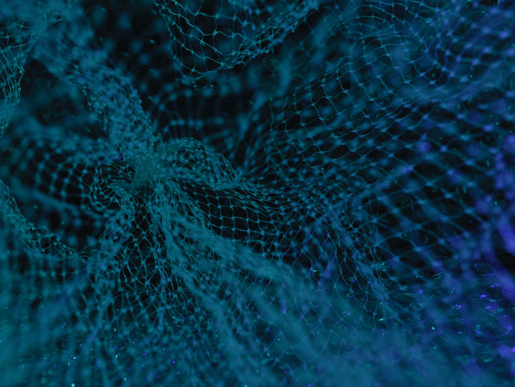 The Wisdom of Crowds: Turning Collective Intelligence into Market Insight.